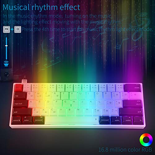 EPOMAKER SKYLOONG AK61 61 Keys Hot Swappable Programmable Mechanical Keyboard with RGB Backlit, PBT Keycaps, NKRO, IP6X Waterproof, Custom Layout for Mac/Win (Gateron Optical Blue, PBT Black White) by EPOMAKER - Image 7