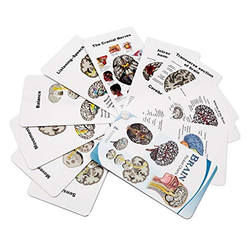 Miniatura 2 de Gráficos de bolsillo cerebral