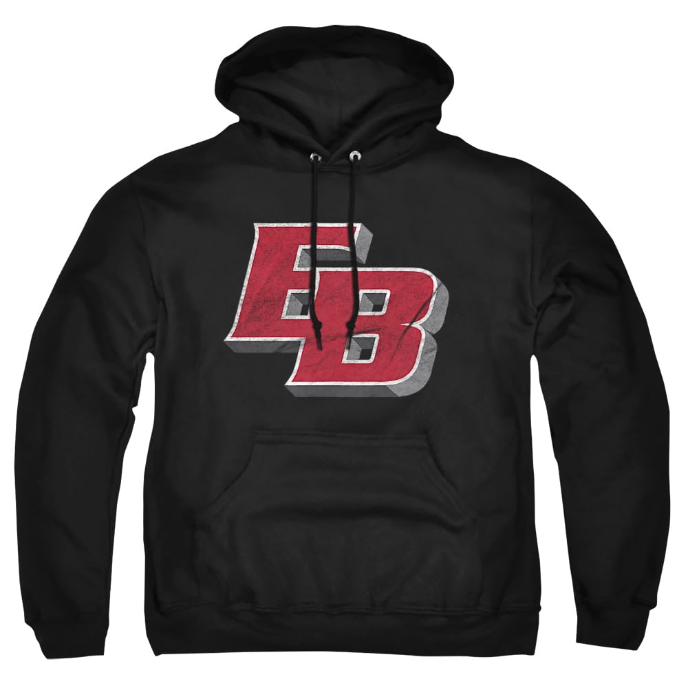LOGOVISION Official Collegiate Distressed Primary Logo Adult Pullover Hoodie Collection — view 18