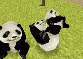 51Q9sA4z9sL._AC_UF350,