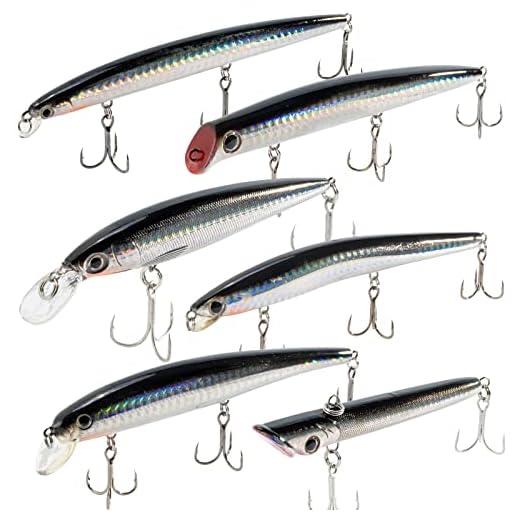 Dr.Fish Assorted 6 Jerkbait Minnow Plugs Popper 5in Hardbaits Kit Saltwater Lure Surf Fishing Striper Bass Redfish Mackerel Musky Black Silver
