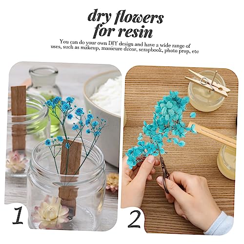 Set de flores secas naturales para manualidades y decoración miniatura 2