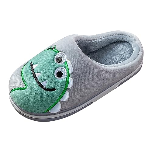 Generisch Bola de aprendizaje interior llevar zapatillas, dinosaurios lindos, suaves y cómodos invierno cálido zapatillas de felpa desvestirse los zapatos, gris, 23.5 EU