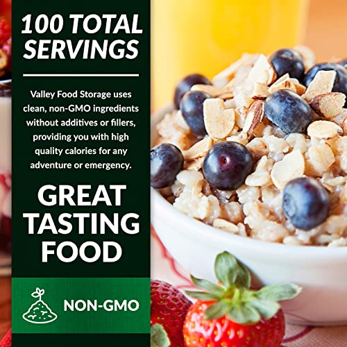 Image of Valley Food Storage Multigrain Dried Cereal | 10-Bag Bucket, 100 Servings | Premium Emergency Food Supply, 25 Year Shelf Life | Survival Breakfast Food for Camping, Prepper Storage & Off-Grid Living