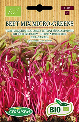 Germisem Orgânica Beet Mix Micro-Greens sementes de nabo vermelho 10 g