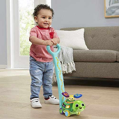 Vtech 2-In-1 Toddle And Talk Turtle #TOP3
