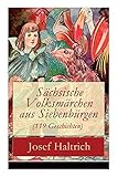  Sächsische Volksmärchen aus Siebenbürgen (119 Geschichten): Der Fuchs und der Bär + Die beiden Goldkinder + Der seltsame Vogel + Die Füchse, der Wolf ... Hans + Wie soll ich denn sagen? + und mehr