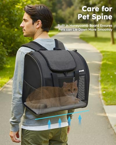 pecute Rucksack Hunde & Kleine Katzen 5kg, Katzentrage, Haustier Handtasche und Rucksack, Haustiertrage mit belüftetem Design, Faltbarer Haustiertrage-Rucksack für Hunde und Katzen, Dunkelgrau