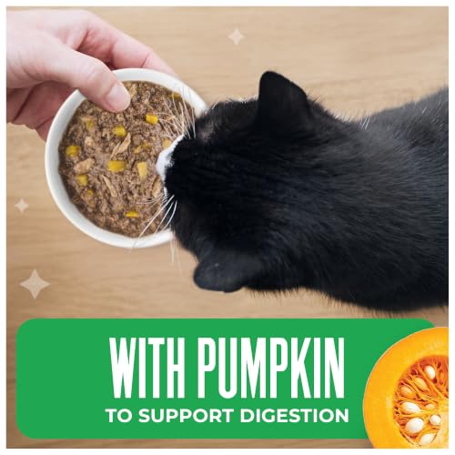 Image of Tiki Cat Friends Wet Cat Food, Tuna, Ocean Whitefish & Pumpkin, 2.8 oz. Can | For Adult Cats, Chunk Texture, Grain-free, High Moisture, Dolphin-safe, Supports Digestion, 12 Cans