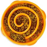 Outward Hound Fun Feeder Dog Bowl Slow Feeder Stop Bloat for Dogs, Small, Orange