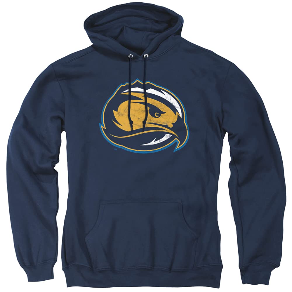 LOGOVISION Official Collegiate Distressed Primary Logo Adult Pullover Hoodie Collection — view 36