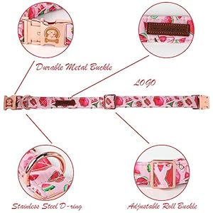 Mr Chubbyface spring summer dog collar cute pink beach bikini dog collar girl boy dog collar for small medieum large dogs   cucciolini doodles