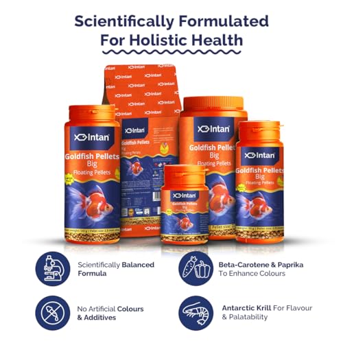 Image of Intan Goldfish Pellets for Fish | Medium Pack Aquarium Fish Food | Daily Nutrition Fish Feed | Big Floating Pellet 55 Gm, 2.5 mm Dia,All Life Stages