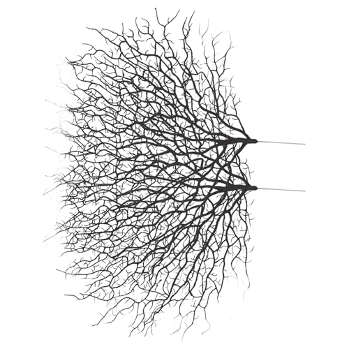 CLISPEED �l�H�T���S�} DIY�N���t�g�p �v�����}���� ���Ă����p�\ �����I�t�B�X �z�[���f�R���[�V�����p 2��