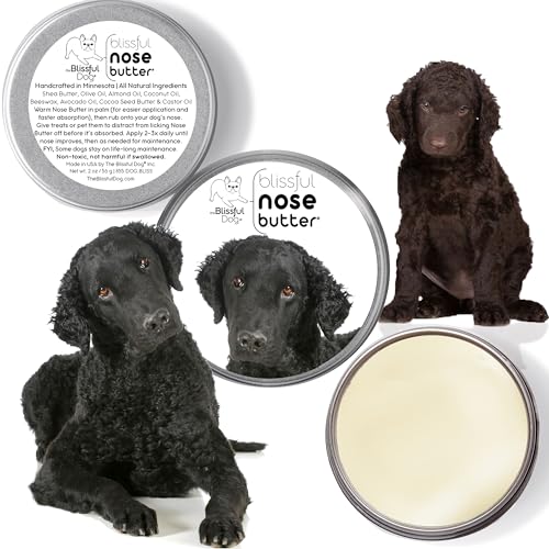 Image of The Blissful Dog Curly-Coat Retriever Unscented Nose Butter, 8-Ounce