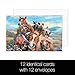 Tree-Free Greetings EcoNotes 12 Count Horses Selfie All Occasion Notecard Set with Envelopes, 4 x 6 Inches (FS56896)