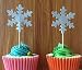 Medium Double Sided Silver Glitter Decorative Frozen Winter Snowflake Snowflake Decorations Cupcake Toppers for Standard and Large Cupcakes,Size 2" Wide by 5" Tall, Pack of 18