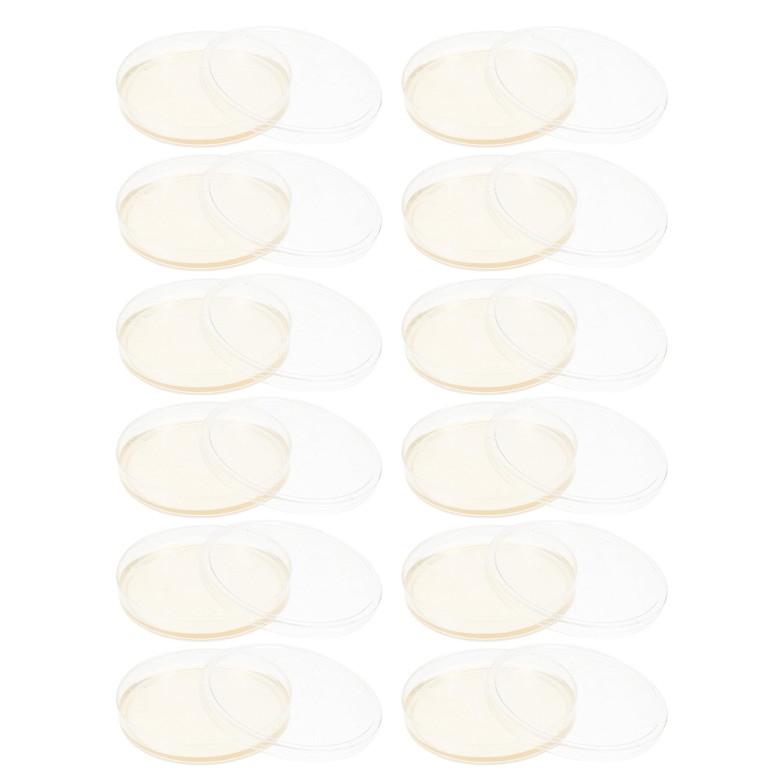 Veemoon 20 Placas de Petri de Agar Prellenadas de 90mm para Cultivo Microbiano Tapa de Ps, Listas para Uso en Proyectos Científicos y Educativos