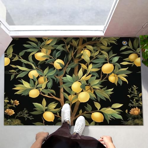 Paillasson attrape poussière 50x80cm tapis de sol lavable citronnier - 4