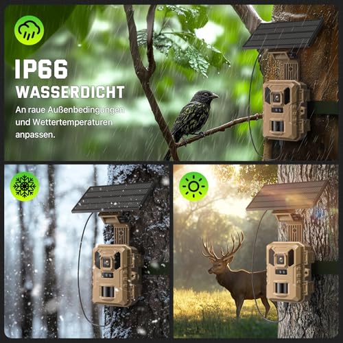 VIDVIS WLAN Wildkamera mit Handyübertragung App, 4K 64MP Wildtierkamera mit Nachtsicht Bewegungsmelder, Solar-Wild Kamera mit 850nm Infrarot-LED, 0,1s Auslösung, 32GB SD-Karte, IP66 Wasserdicht