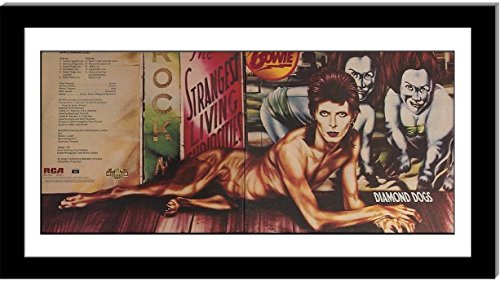 Creative Picture Frames 16X30Bk-W Double Lp Vinyl Record Frame Display With White Mat, Cover Insert, Glass And Wall Hanger (Albums Not Included)