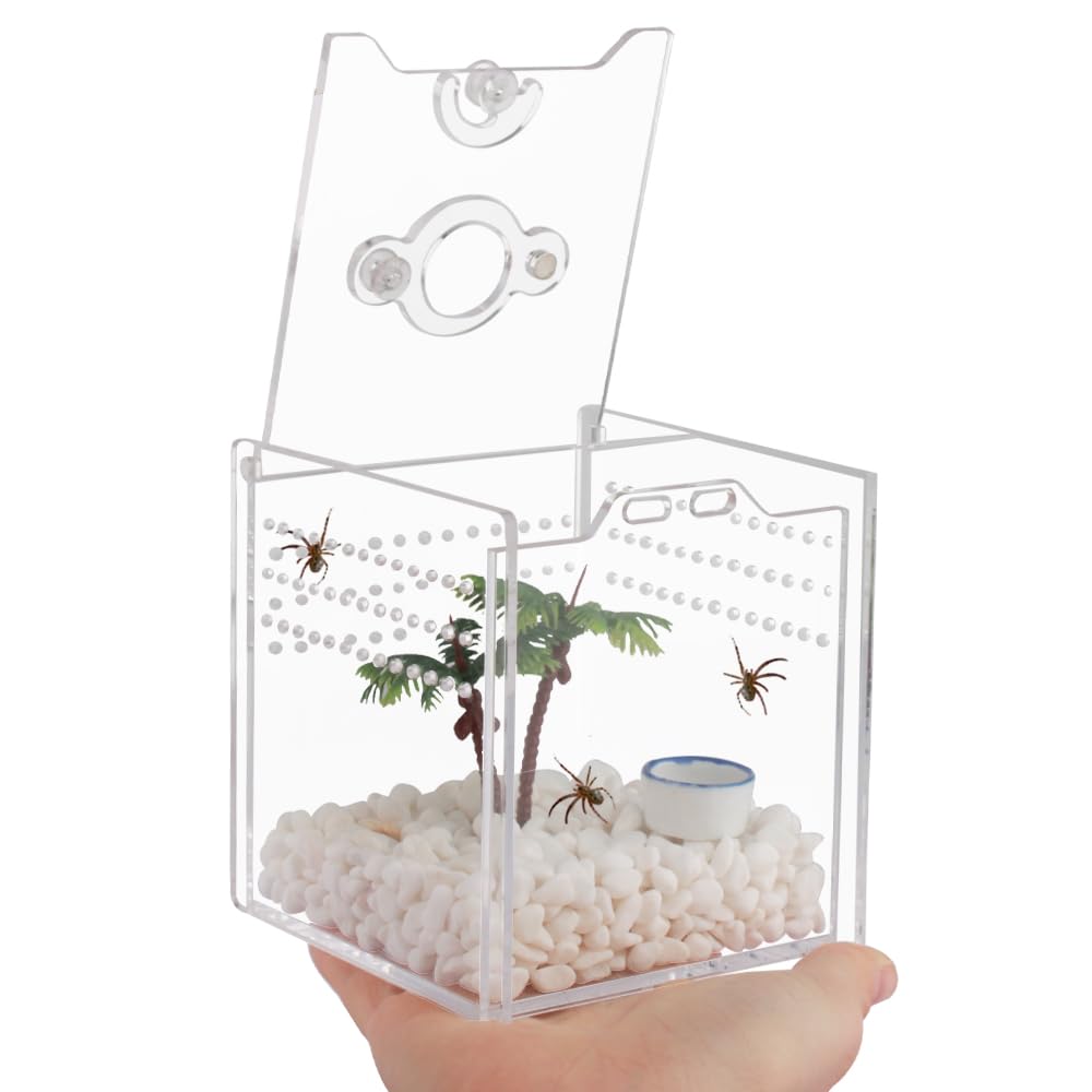 Jumping Spider Enclosure,3.3x3.3x3.3inch Small Pet Insect Breeding Box