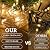 600 LED Christmas Lights, 246FT Outdoor Waterproof String Lights with Remote, Timer & Memory Function & 8 Modes, Twinkle Lights Plug in for Christmas Tree, Patio, Outside, Indoor, Bedroom