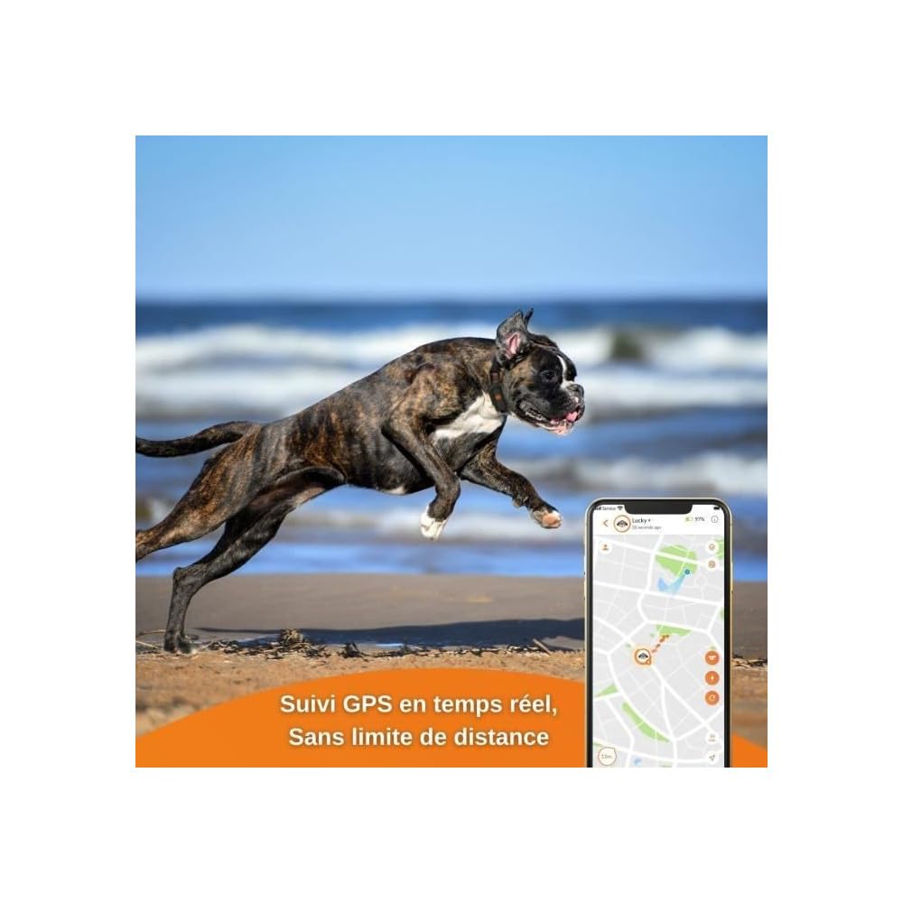 Weenect XS - Collier GPS pour chien (Black Edition 2023) | Suivi GPS en temps réel | Plus petit modèle du marché | Garantie à vie | Fonctionne avec abonnement