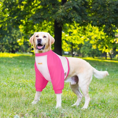 Image of Dog Recovery Suit, Recovery Sleeve for Dogs, Dog Elbow Braces Protector for Leg Injuries & Joint Pain, Dog Cone Alternative to Stop Licking Leg Wounds, Bright Pink (XL), X-Large
