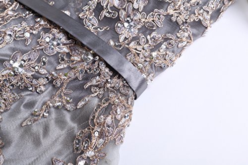 Meier Women's Illusion Long Sleeve Embroidery Prom Formal Dress (6, Silver Grey)