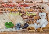 HeschFoto Martin Bären (Wandkalender 2020 DIN A2 quer): Wandkalender Martin Bären aus Sonneberg (Monatskalender, 14 Seiten ) (CALVENDO Spass)