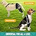 Dog Knee Brace for Torn ACL Hind Leg Support, Adjustable Dog Leg Braces for Back Leg, Cruciate Ligament Injury and Luxating Patella Recovery, Hip Brace for Dogs, Universal for All 4 Legs, XS