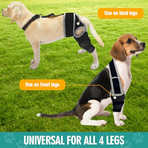 Image of Dog Knee Brace for Torn ACL Hind Leg Support, Adjustable Dog Leg Braces for Back Leg, Cruciate Ligament Injury and Luxating Patella Recovery, Hip Brace for Dogs, Universal for All 4 Legs, L