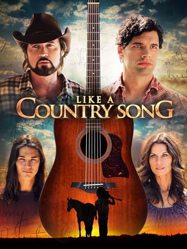 Like A Country Song