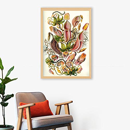 XIANGPEIFBH Carnivorous Plant Poster Nepenthaceae Tropical Pitcher Plants Monkey Cups Prints Wall Art Painting Canvas Picture Decor 70x100cm(28x39) Unframed