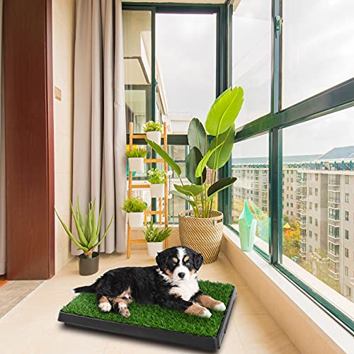 Sailnovo 63x50cm Hundeklo Hundetoilette, Rasen verstärken Welpentoilette mit 2 Pcs Kunstrasen, Hunde Toilette Welpenklo Haustiertoilette Trainingsunterlage
