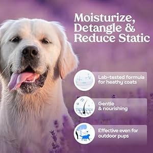 PAWFUME-Premium-Grooming-Spray-Dog-Spray-Deodorizer-Perfume-For-Dogs-Dog-Cologne-Spray-Long-Lasting-Dog-Sprays-Dog-Perfume-Spray-Long-Lasting-After-Bath-Dog-deodorizing-Spray-Lavender - Cucciolini Doodles   PAWFUME-Premium-Grooming-Spray-Dog-Spray-Deodorizer-Perfume-For-Dogs-Dog-Cologne-Spray-Long-Lasting-Dog-Sprays-Dog-Perfume-Spray-Long-Lasting-After-Bath-Dog-deodorizing-Spray-Lavender