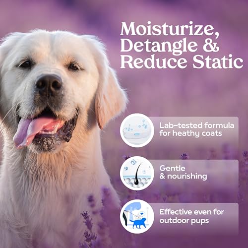 PAWFUME-Premium-Grooming-Spray-Dog-Spray-Deodorizer-Perfume-For-Dogs-Dog-Cologne-Spray-Long-Lasting-Dog-Sprays-Dog-Perfume-Spray-Long-Lasting-After-Bath-Dog-deodorizing-Spray-Lavender - Cucciolini Doodles   PAWFUME-Premium-Grooming-Spray-Dog-Spray-Deodorizer-Perfume-For-Dogs-Dog-Cologne-Spray-Long-Lasting-Dog-Sprays-Dog-Perfume-Spray-Long-Lasting-After-Bath-Dog-deodorizing-Spray-Lavender