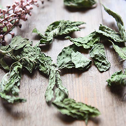 通用 Té de Menta Hoja de Menta Seca Té Salvaje 50g Té de Hierbas Fresco Natural Reduce el Fuego del hígado - Imagen 4