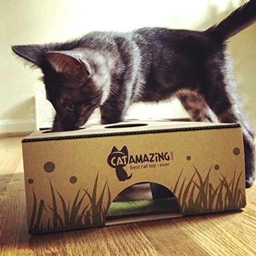Cat Amazing Classic – Cat Puzzle Feeder – Interactive Enrichment Toy – Treat Puzzle Box – Food Maze for Indoor Cats