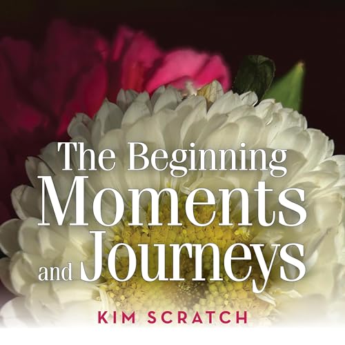 Couverture de The Beginning of Moments and Journeys