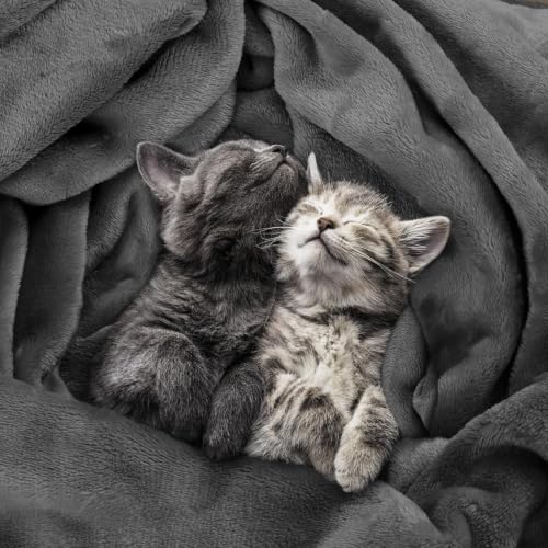 Image of Utopia Bedding Ultra Soft Fleece Bed Blanket Twin Size Grey (90x66 Inches)