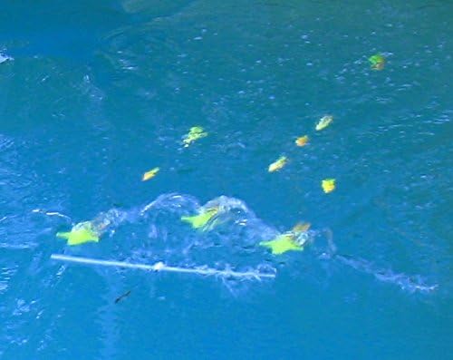 Ancient Mariner Tackle 18-inch Assault Squad Flexible Spreader Bar- Yellow, Hook Lure, and Storage Bag