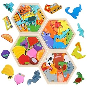 FIIOEOY Wooden Jigsaw Puzzles for Toddlers 1-3 Years, 4 Pack Hexagon Montessori Toys for 1 2 3 Year Old Boys Girls, Animal/Dinosaur/Fruit/Vehicle Chunky Educational Learning Toy