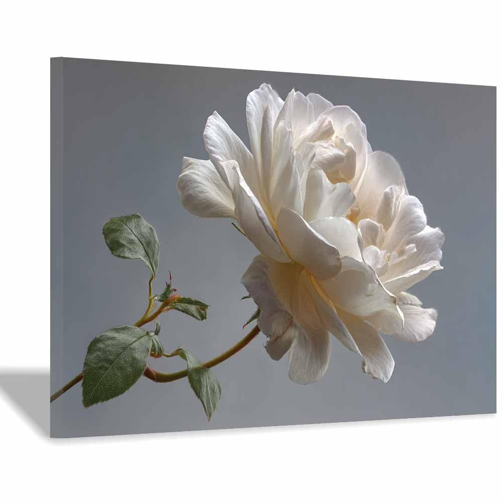 ZAMAEIU Landscape Wall Art Branch-drooping flowers Artwork for Walls, Canvas Prints Paintings Room Decor, for Bedroom Kitchen Office Fireplace Wall Decor(white)-70x100cm Framed