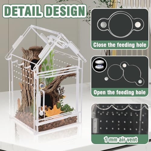 Image of Acrylic Terrarium Kit for Jumping Spiders & Tarantulas - 3.15 inchx3.15 inchx5.6 inch Spider Enclosure with Magnetic Feeding Door & Secure Latch - Ideal Reptile Cage, Praying Mantis Habitat, Bug Terrarium