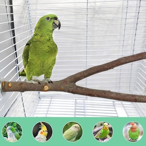 5 PCS Natural Wood Bird Perch Stand Wooden Parrot Perch Stand Budgie Toys Bird Cage Accessories Budgie Perch for Cage Cockatiel Toys for Parakeets Cockatiels(Log - Image 3