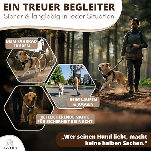 HAVERO Hundegeschirr Easy-On-Clip – [Kein Überkopfziehen] | Anti-Zug Y-Geschirr Gepolstert Reflektierend Atmungsaktiv Brustgeschirr – kleine, mittelgroße & Grosse Hunde Geschirr (Schwarz, S)