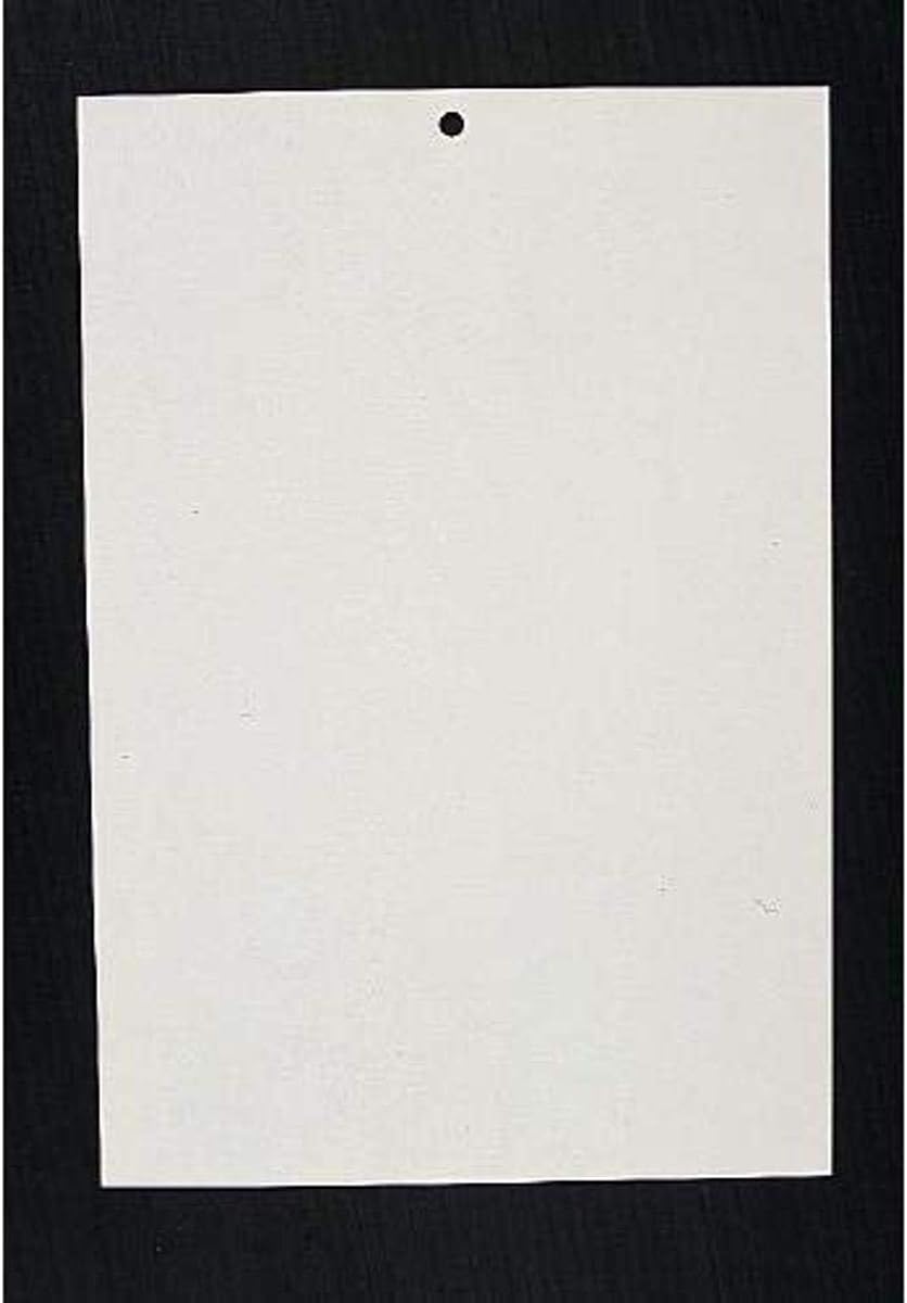 Company WDX Paint Test Card, Plain White