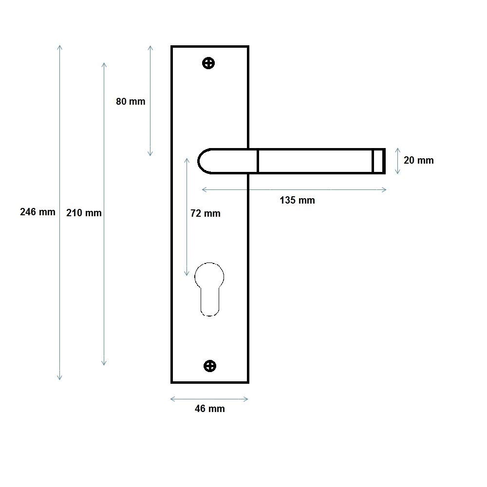 Langschild Core | PZ (Profilzylinder) | V2A Edelstahl matt | festdrehbar gelagert & Rückholfeder